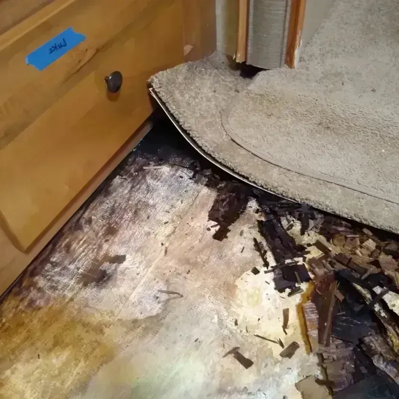 Wood Floor Water Damage in Lake Wynonah, PA